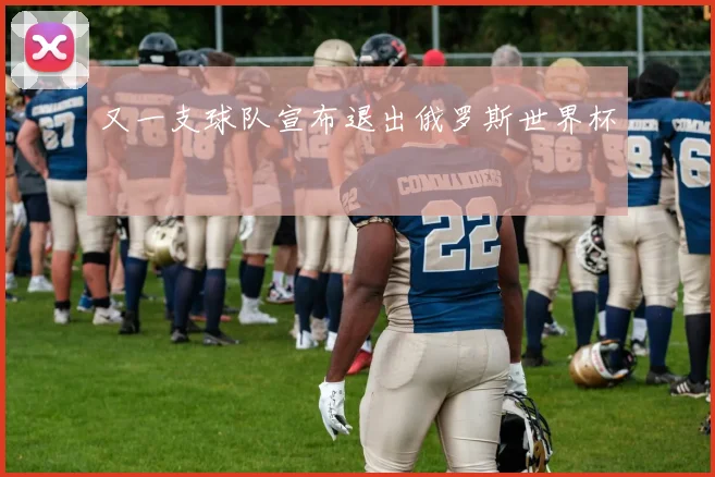 又一支球队宣布退出俄罗斯世界杯