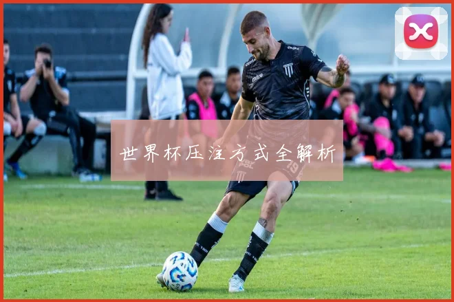 世界杯压注方式全解析