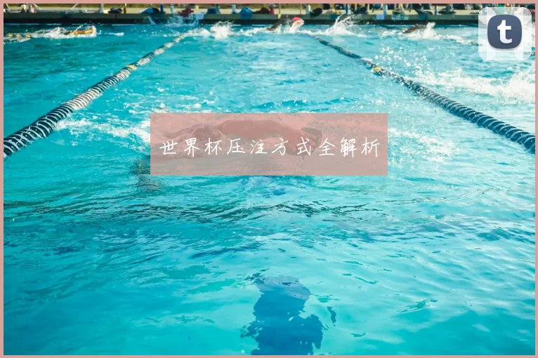 世界杯压注方式全解析