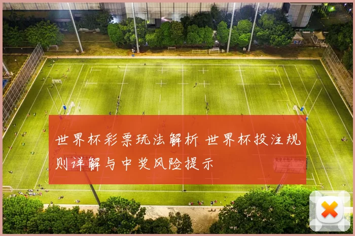 世界杯彩票玩法解析 世界杯投注规则详解与中奖风险提示