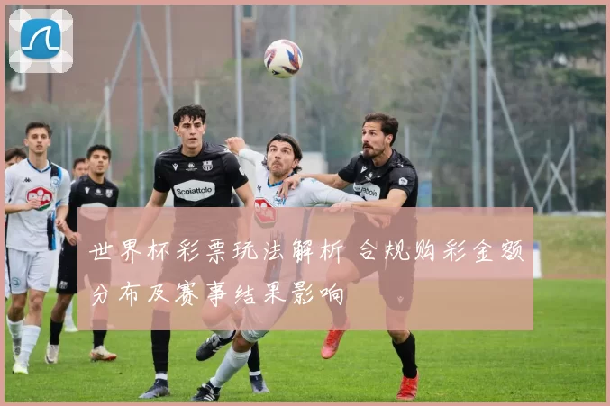 世界杯彩票玩法解析 合规购彩金额分布及赛事结果影响