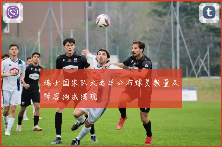 瑞士国家队大名单公布球员数量及阵容构成揭晓