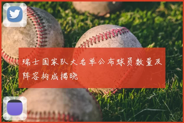 瑞士国家队大名单公布球员数量及阵容构成揭晓