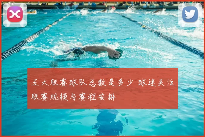 五大联赛球队总数是多少 球迷关注联赛规模与赛程安排