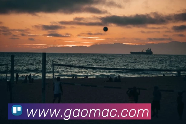 App Interface Preview